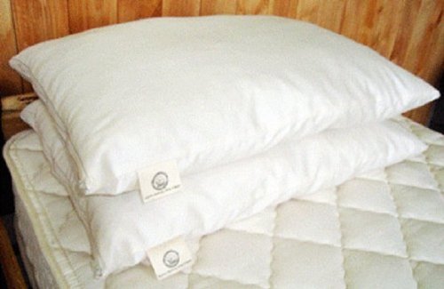Holy Lamb Organics Woolley Down Alternative Pillow - Queen Size Hypoallergenic Comfort for Side, Back & Stomach Sleepers - Perfect for Allergy Relief & Neck Support