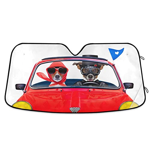 Russell Dogs Driving Car