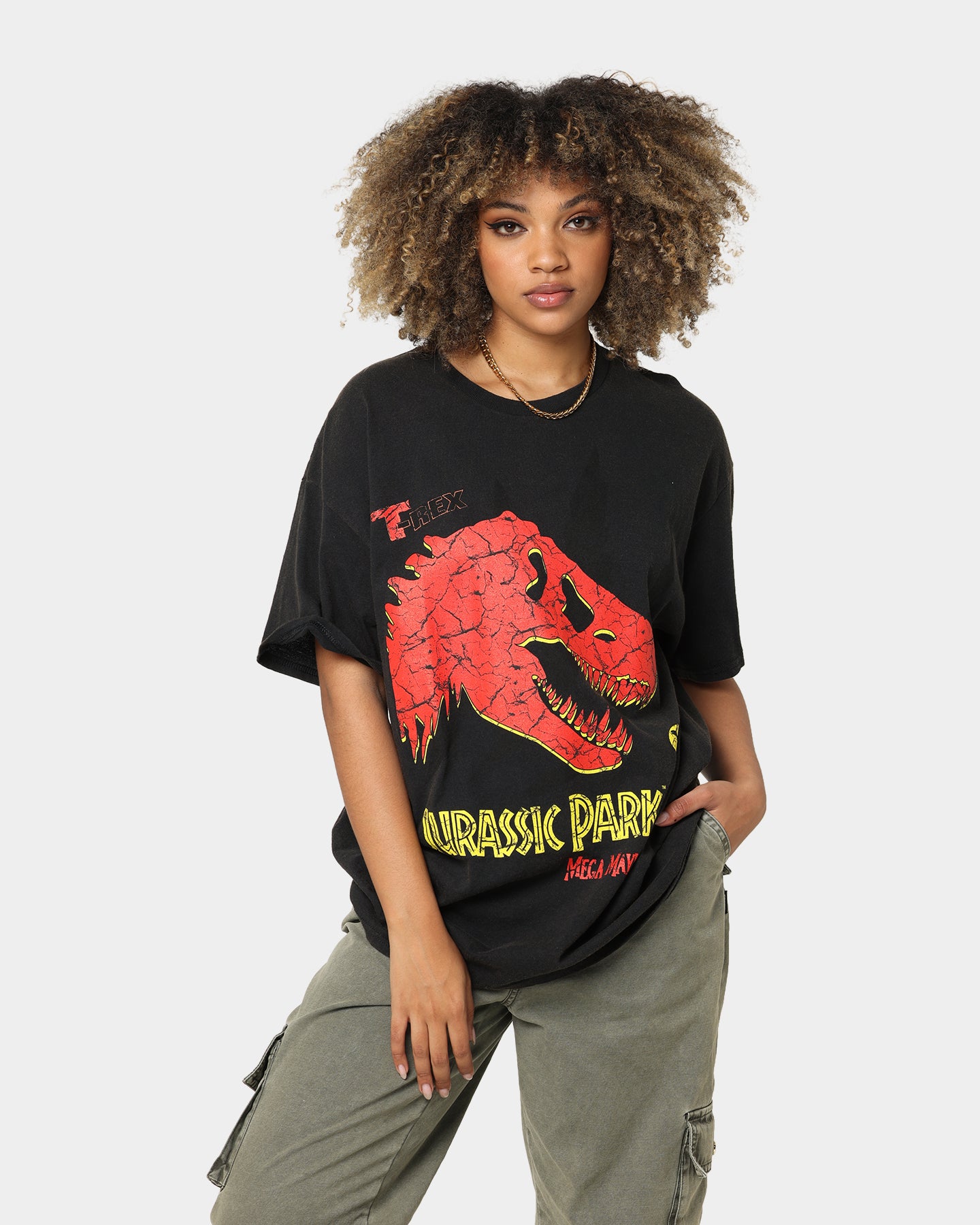 Vintage Jurassic Park Mega Mayhem Graphic T-Shirt - Distressed Black Wash | Retro Movie Tee for Fans & Collectors | Perfect for Casual Wear, Cosplay & Gift Giving