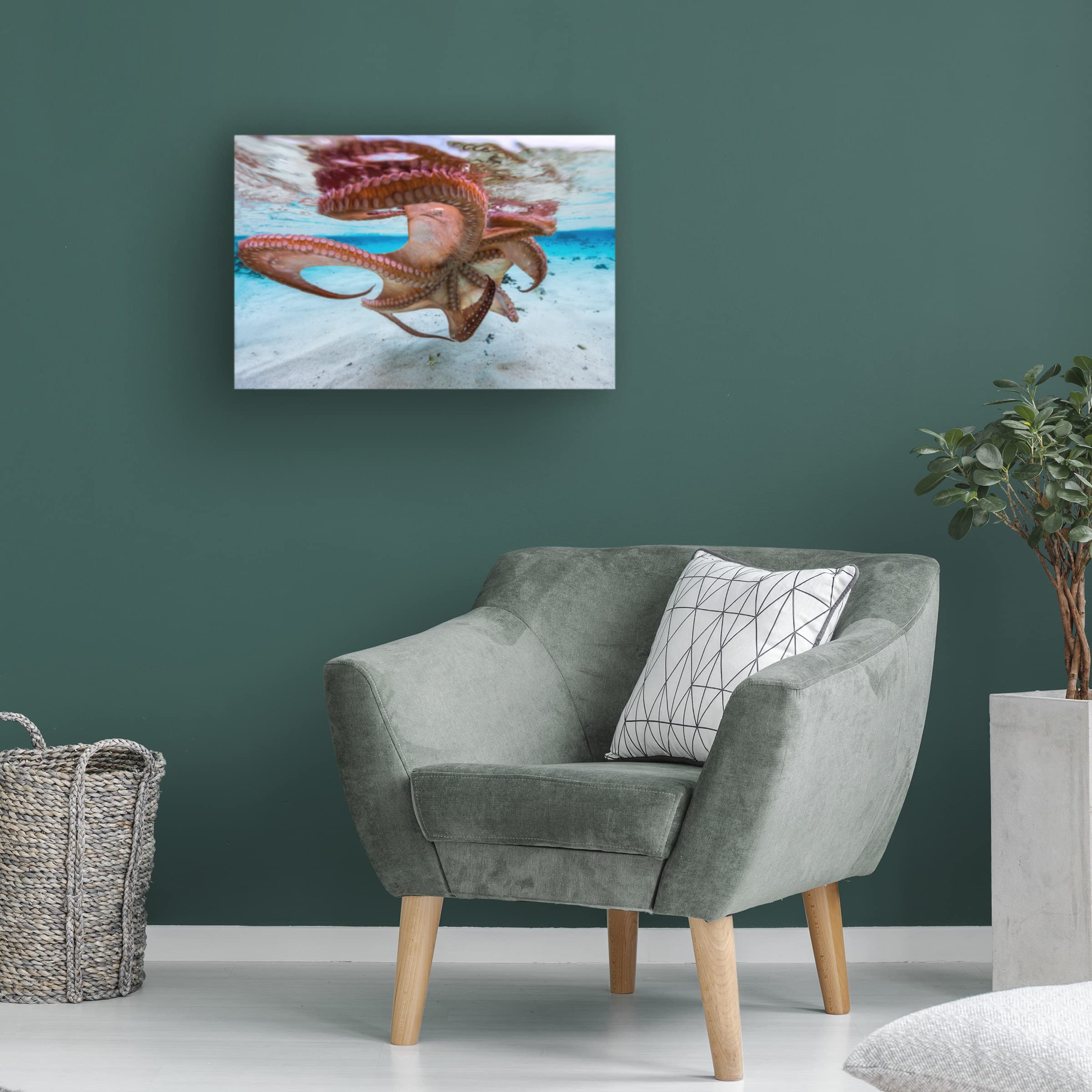 Trademark Fine Art 'The Octopus Underside' Canvas Wall Art Print by Barathieu Gabriel - Modern Ocean Themed Decor for Living Room, Bedroom & Office