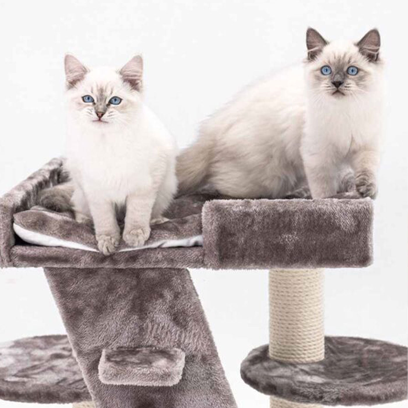 Little Rebels Tucson 61cm Cat Tree - Premium Scratching Post with Perch & Condo for Indoor Cats - Perfect for Play, Rest & Climbing in Small Spaces