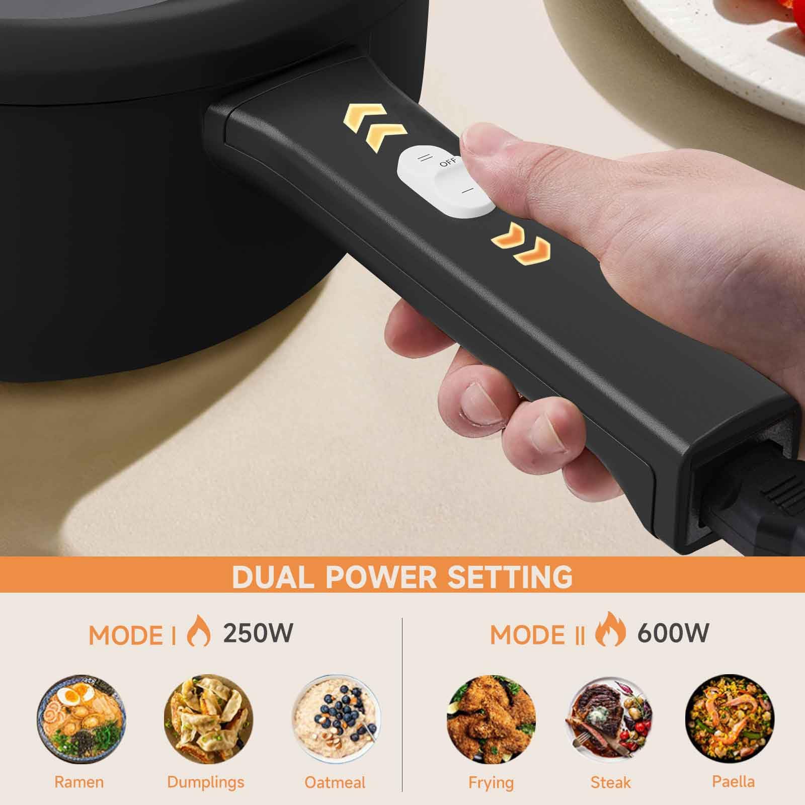 Dezin 2L Electric Cooker with Non-Stick Sauté Pan - Adjustable Temperature Mini Pot for Cooking Steak, Eggs, Fried Rice, Ramen, Oatmeal & Soup | Perfect for College Dorms, Small Kitchens & Quick Meals (Includes Egg Rack)