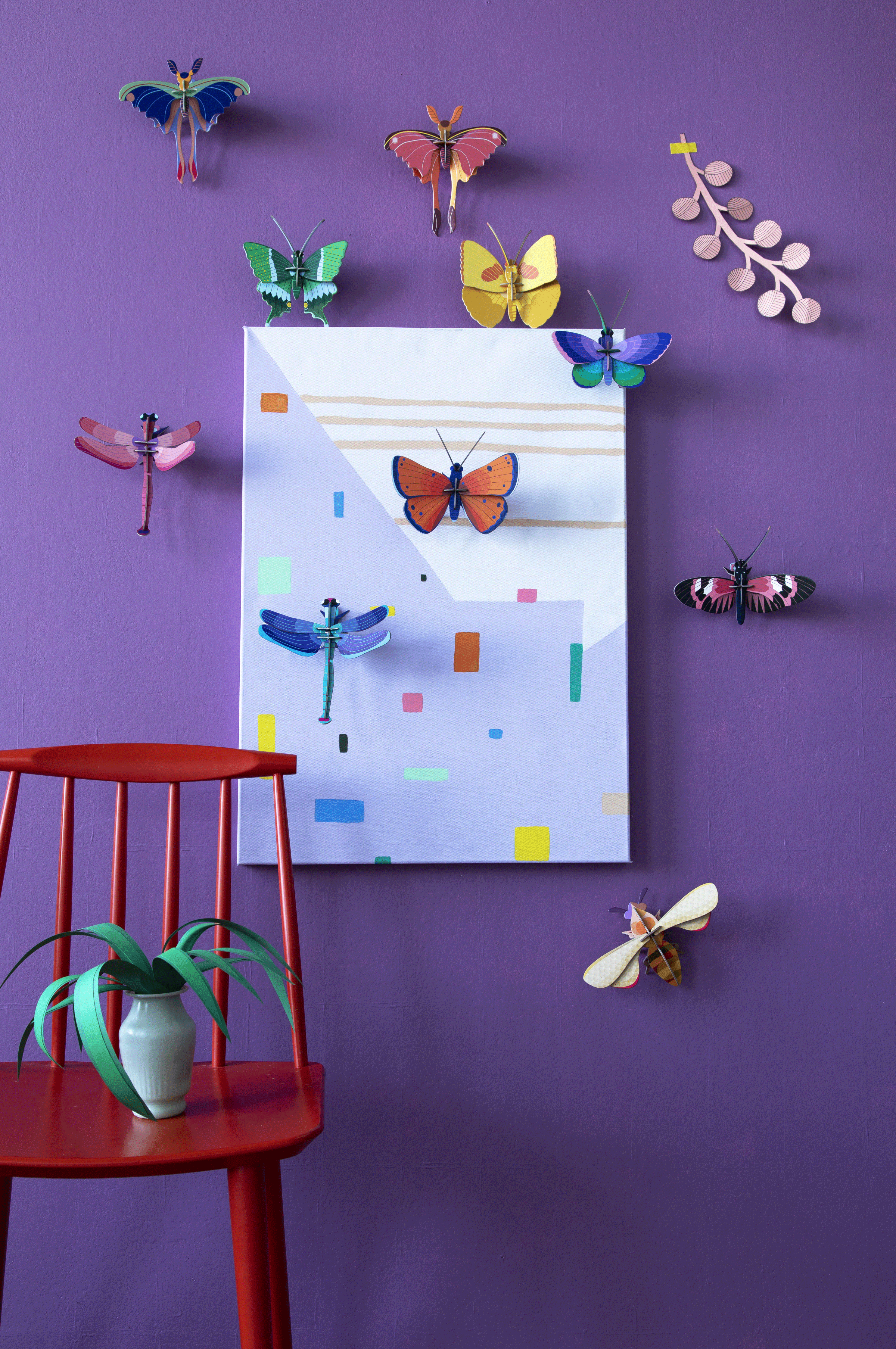Gold Rim Butterfly Small Insect Specimen - Handcrafted by Studio ROOF - Perfect for Home Decor, Shadow Box Display & Entomology Collections