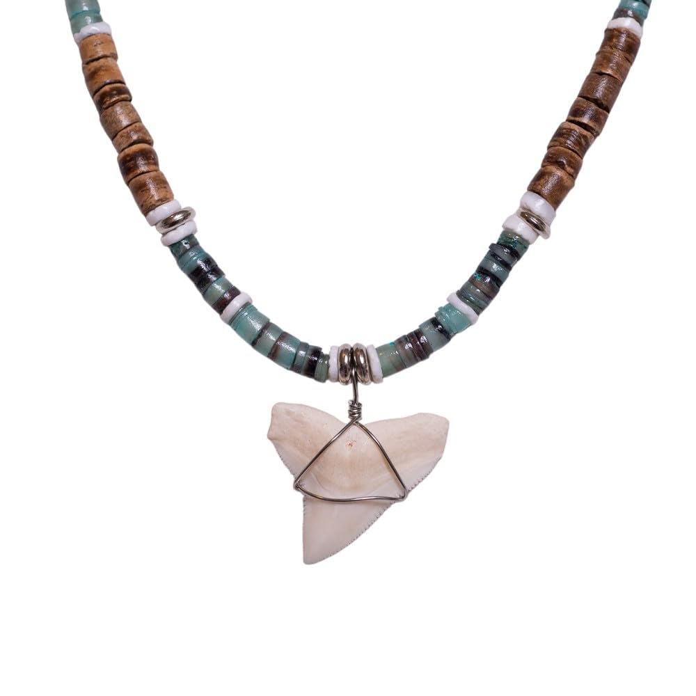 BlueRica Shark Tooth Necklace with Tiger Coconut & Green Shell Beads - 18