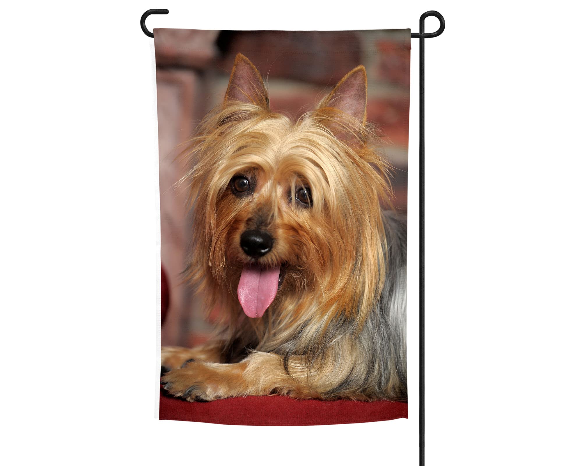 Silky Terrier Garden Flag - Decorative Outdoor Dog Flag for Yard & Patio - Perfect Gift for Silky Terrier Lovers - Weather-Resistant Pet Decor for Gardens, Lawns & Porches