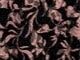 Black Graphic Vine