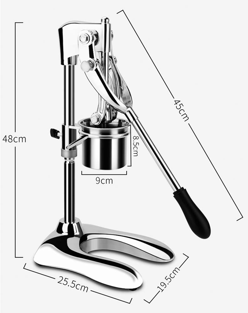 CGOLDENWALL Stainless Steel Manual French Fry Cutter - 12 Hole Potato Strips Maker for Perfect Homemade Fries, Chips & Wedges | Ideal for Restaurants, Fast Food Shops & Home Kitchen Use