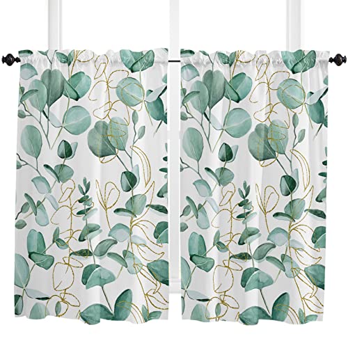 Eucalyptus Leaves