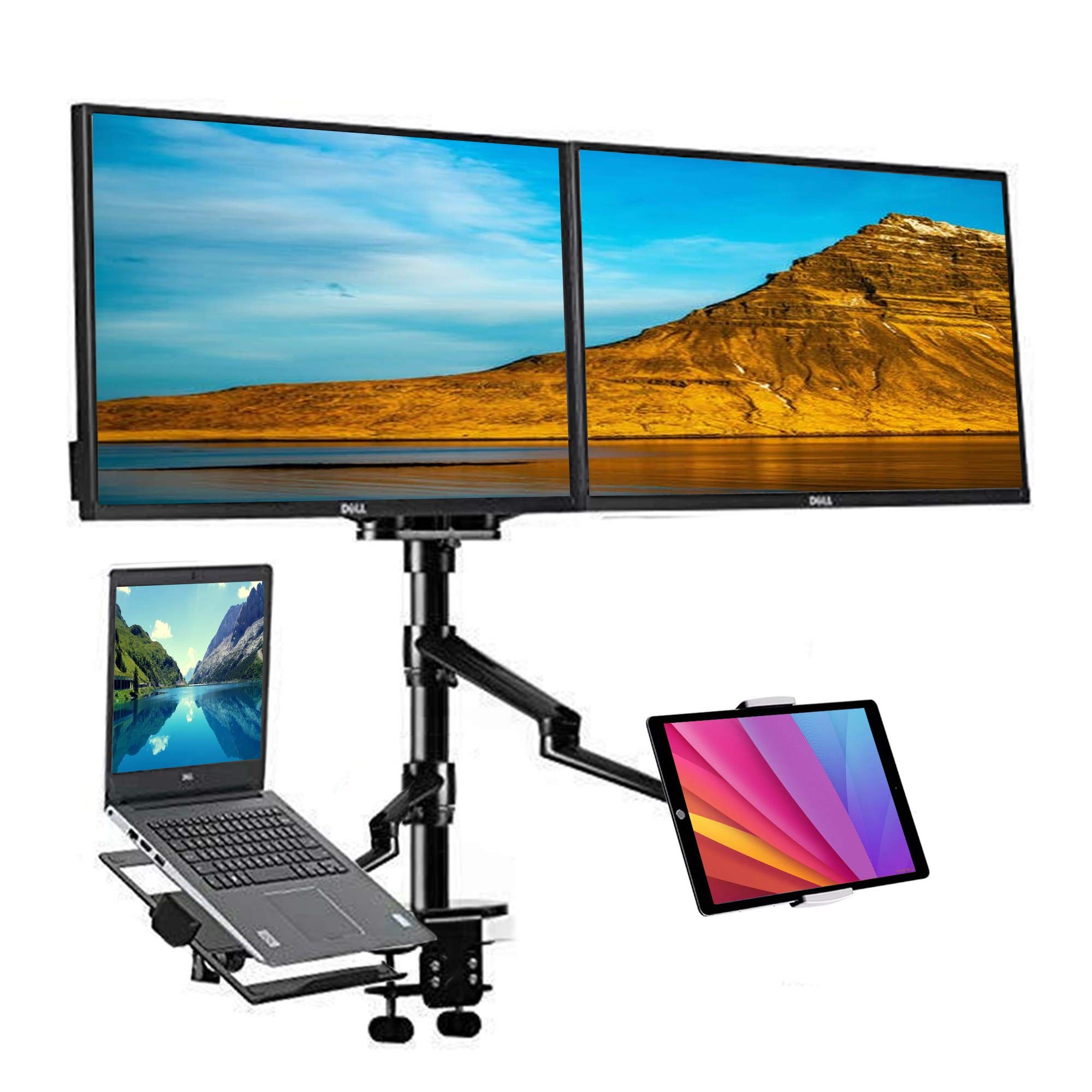 Adjustable 4-Arm Laptop & Monitor Stand - Height Adjustable Desk Mount for 10-17