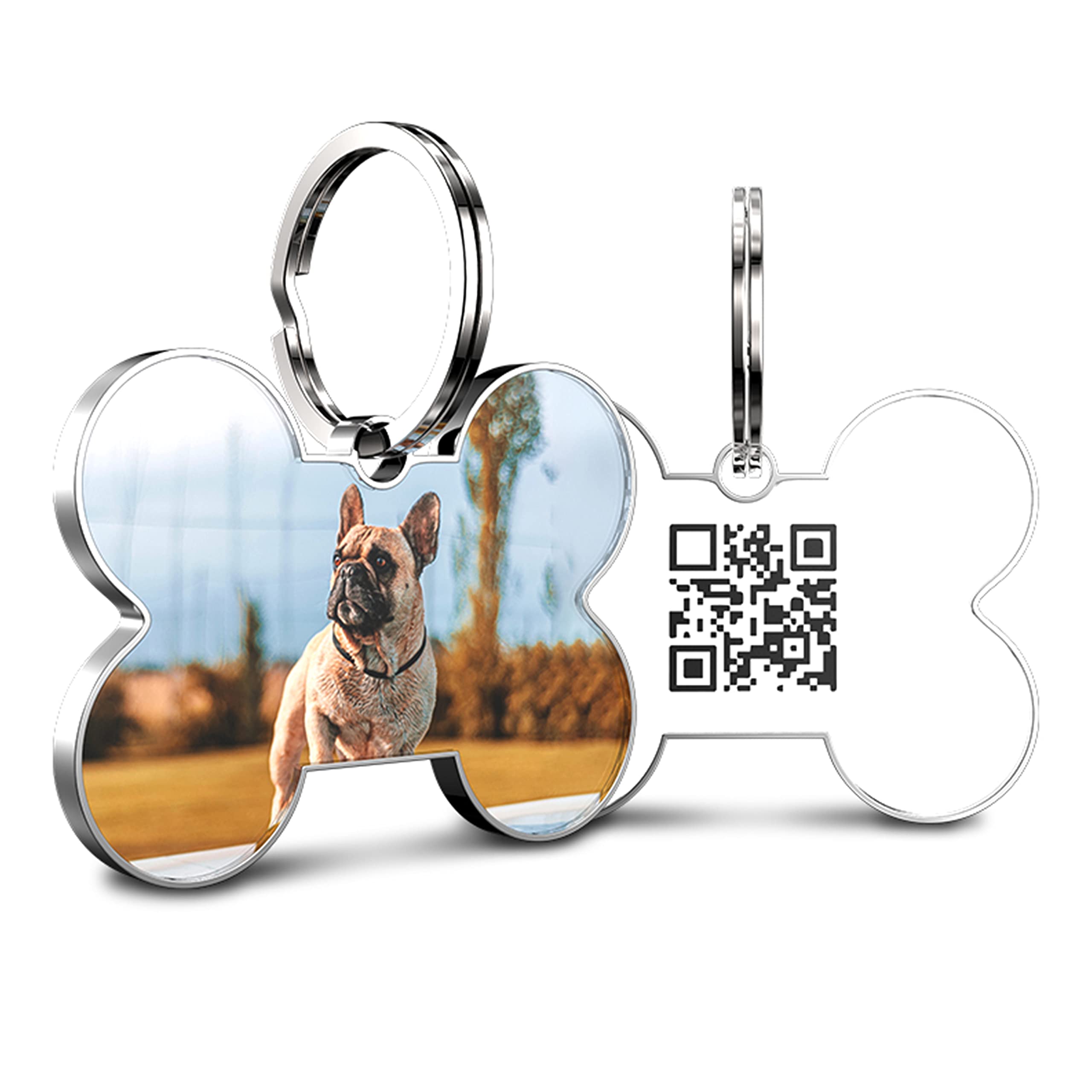 Custom QR Code Pet ID Tags - Personalized Dog & Cat Tags for Online Profiles