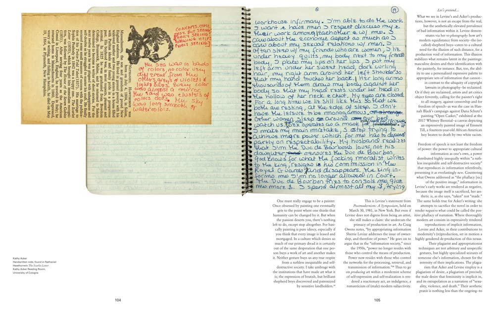 Kathy Acker Book - Get Rid of Meaning for Literary Studies
