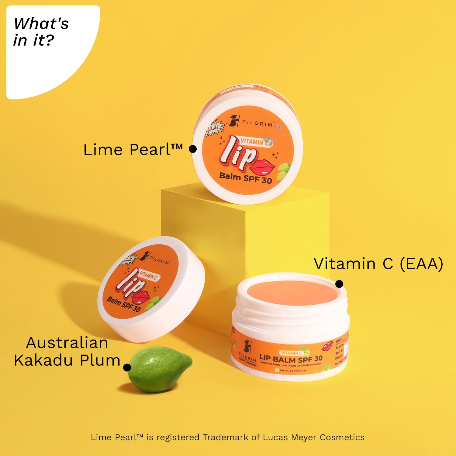 Pilgrim Vitamin C SPF 30 Lip Balm with Kakadu Plum & Shea Butter - Moisturizing & Soothing Treatment for Dry, Chapped Lips - Unisex Hydrating Lip Care (9g) | Perfect for Outdoor Activities, Daily Sun Protection & Winter Lip Care