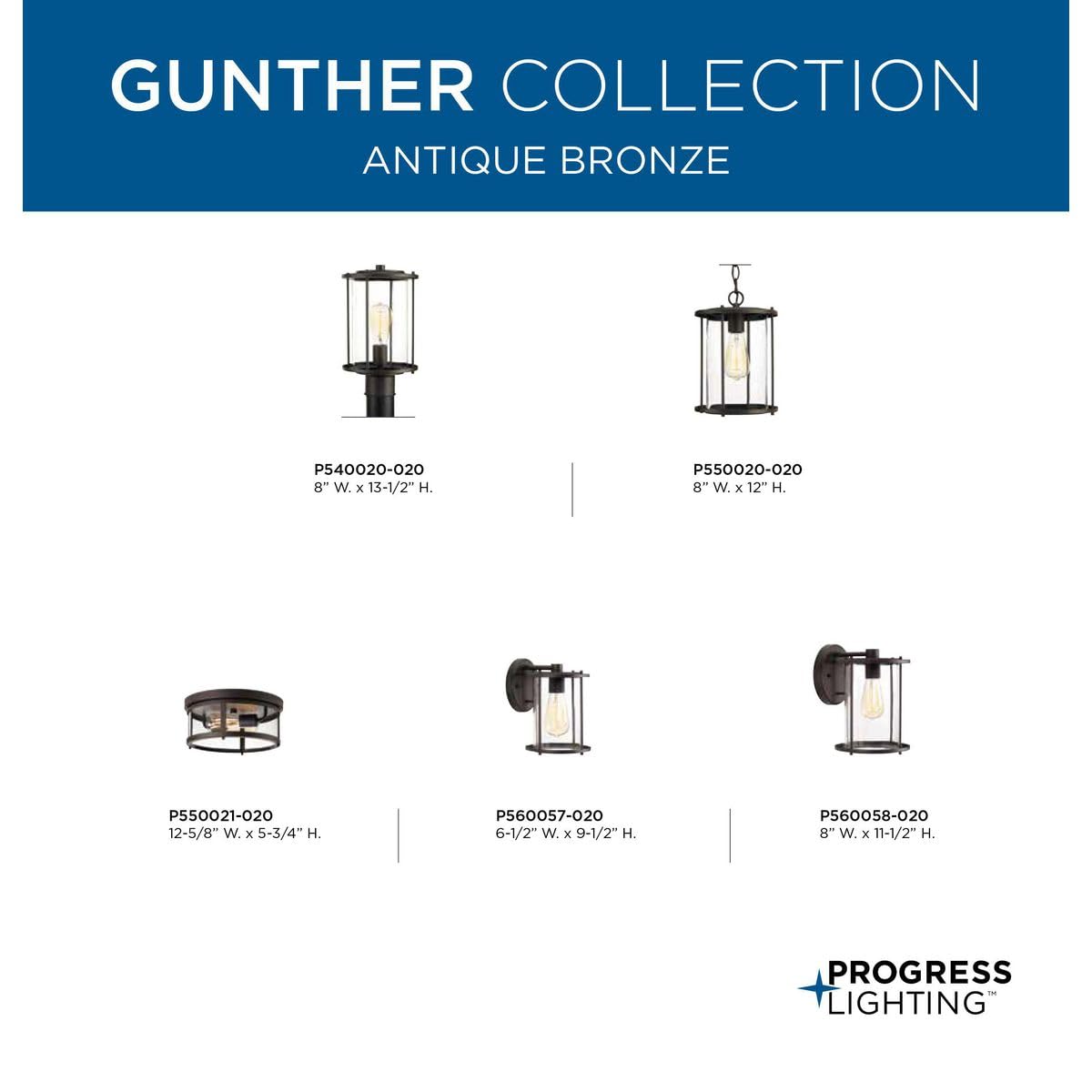 Progress Lighting P560058-020 Gunther Outdoor Bronze Wall Sconce - Weatherproof Exterior Light Fixture for Porch, Patio, and Garden Lighting