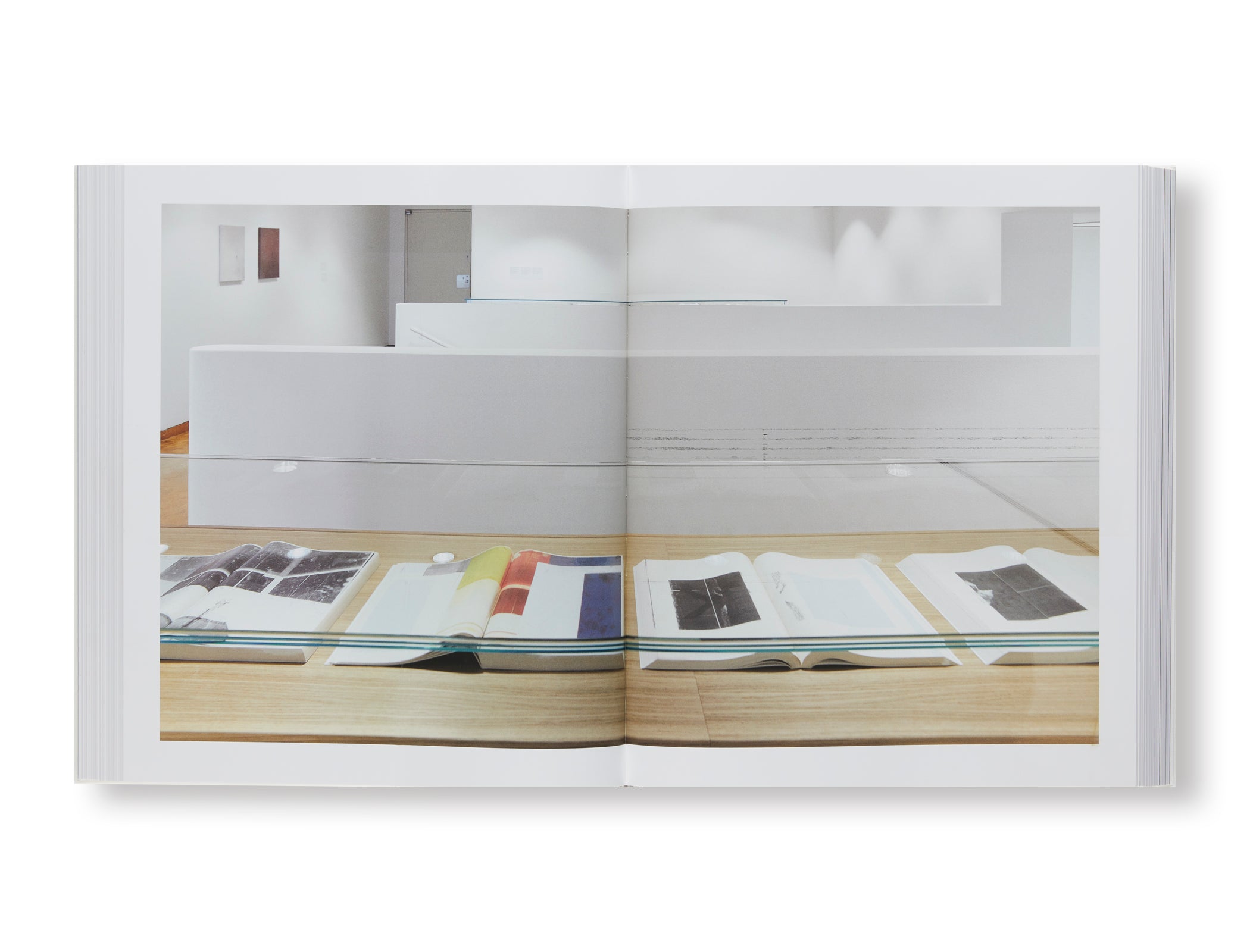 Wade Guyton ZWEI DEKADEN MCMXCIX–MMXIX Vol. II Art Book - Contemporary Art Collection for Home Decor & Gift Giving