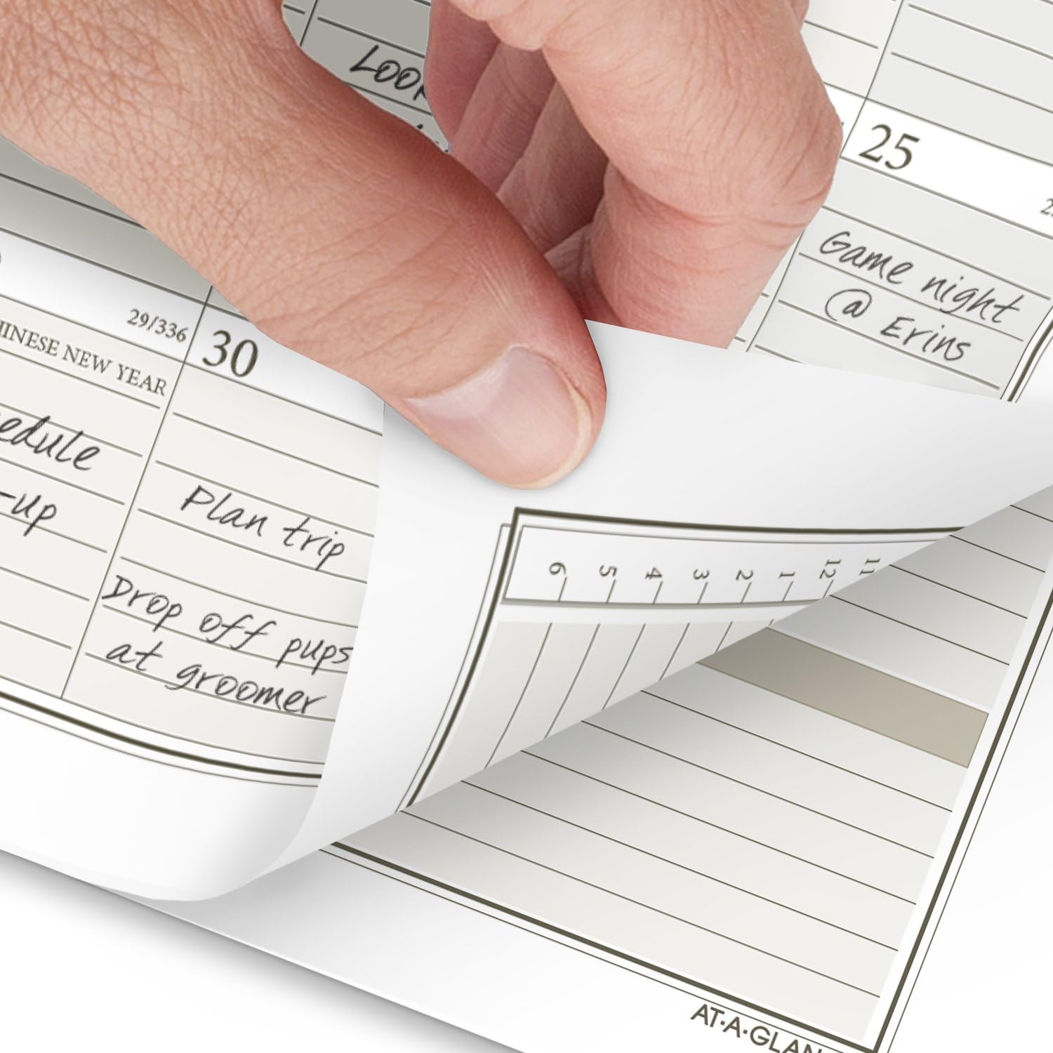 AT-A-GLANCE 2025 Weekly & Monthly Planner Refill - 3.75