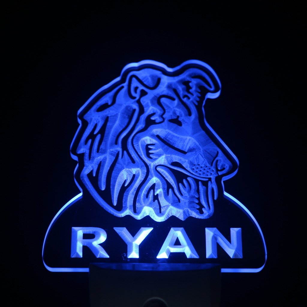 ADVPRO ws1090-tm Personalized Sheltie Dog Night Light with Name - Day/Night Sensor LED Sign for Bedroom, Nursery & Pet Lover Gifts