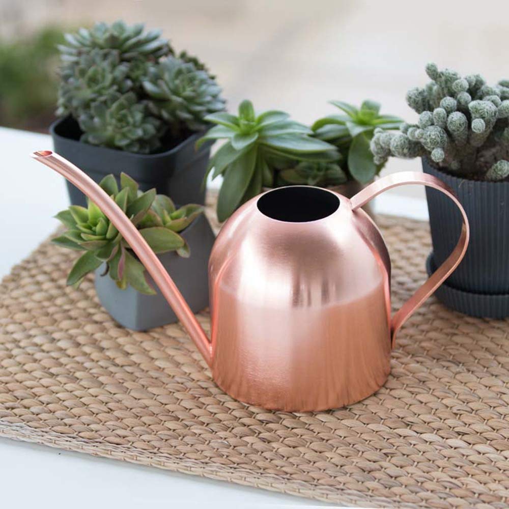 Rose Gold Watering Can - Mini Metal Watering Pot with Long Spout for Indoor & Outdoor Plants | Perfect for Houseplants, Succulents, Balcony Gardens and Flower Beds