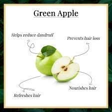 KHADI RISHIKESH Herbal Green Apple Daily Purifying Shampoo & Conditioner - Controls Hair Fall & Oily Scalp for Men, Women, Boys & Girls (Pack of 2 x 210ml) | Perfect for Greasy Hair Care & Daily Cleansing Routine