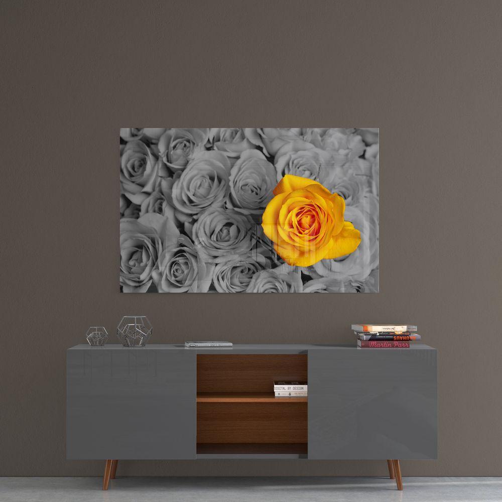 Yellow Rose - Fresh Cut Flowers for Home Decor, Weddings & Special Occasions | Premium Quality Roses for Bouquets & Gifts