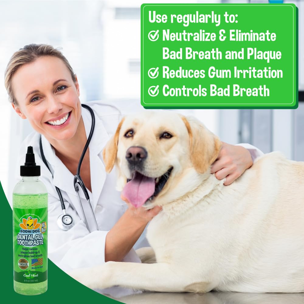 Bodhi Dog 50-Count Long Toothbrushes & 50-Count Finger Toothbrushes with Dental Gel Bundle - Complete Dog Dental Care Kit for Small & Large Breeds - Perfect for Home Use & Vet Visits