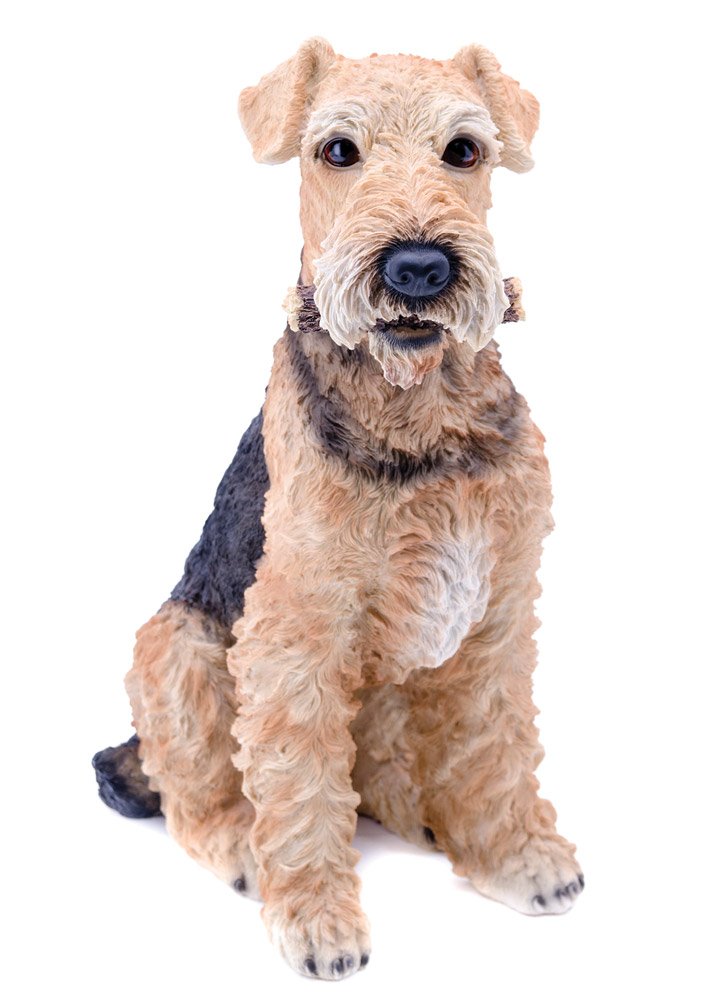 Hi-Line Gift Ltd Airedale Terrier Dog Statue - Handcrafted Home Decor for Pet Lovers, Perfect for Living Room, Office, or Garden Display