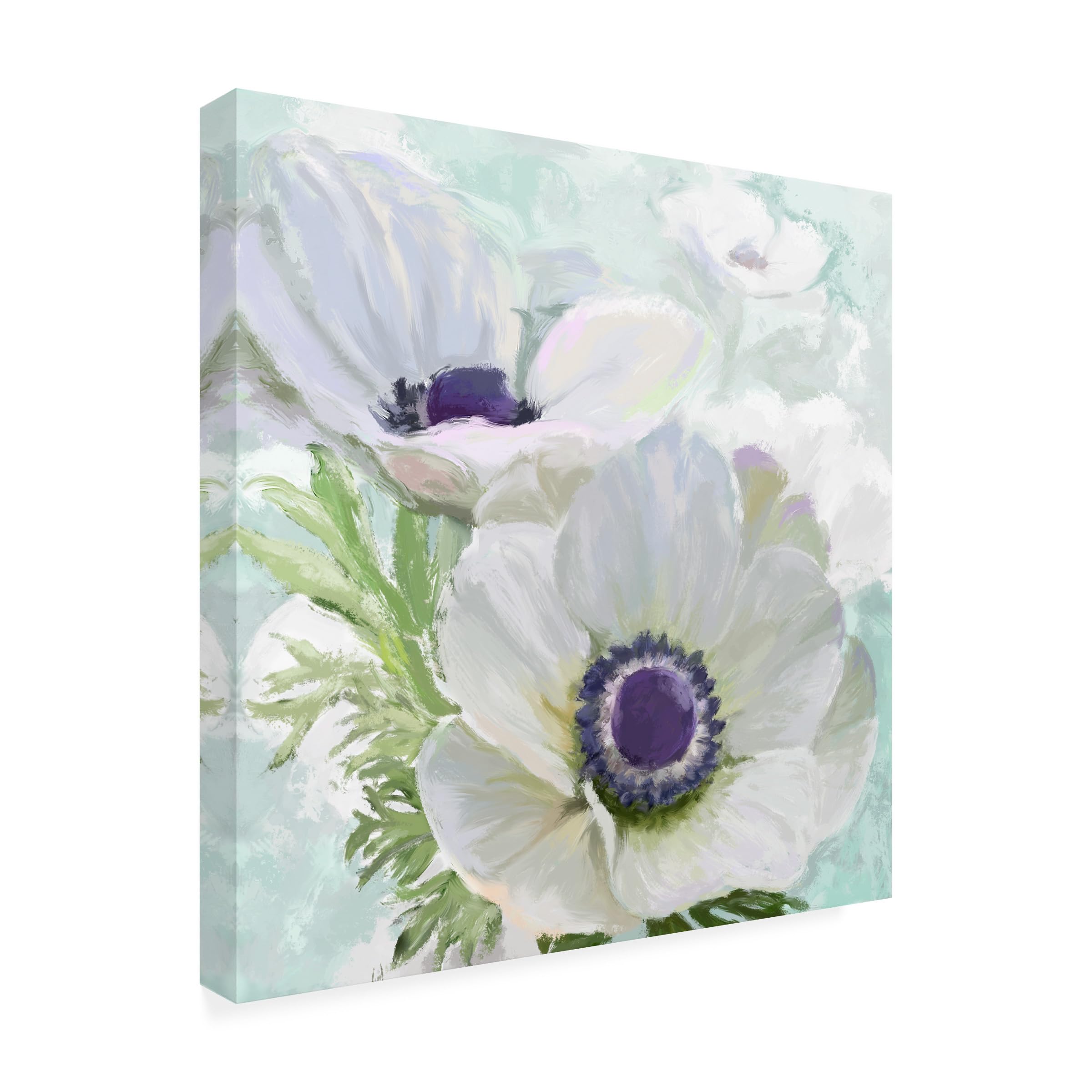 Trademark Fine Art 'Anemone White' Canvas Wall Art Print - Floral Home Decor for Living Room, Bedroom & Office - Handmade by Art Licensing Studio
