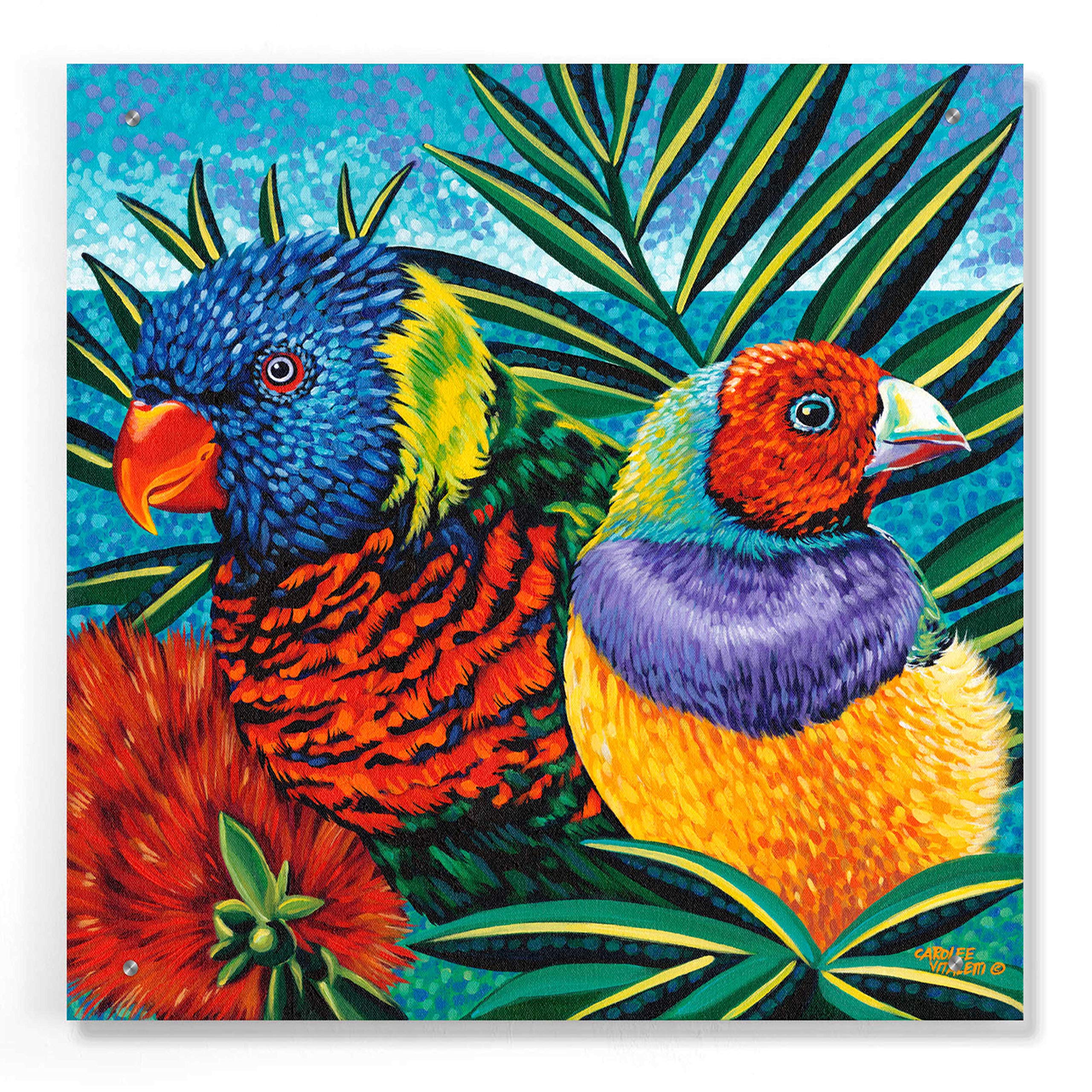 Birds in Paradise II by Carolee Vitaletti - 24x24 Inch Vibrant Acrylic Glass Wall Art Painting - Tropical Bird Decor for Living Room, Bedroom & Office