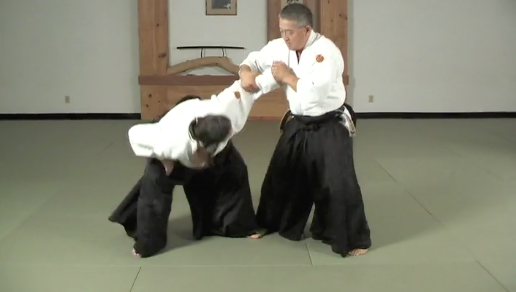 Aikido to BJJ Instructional DVD - Derek Nakagawa & Marcio Feitosa - Learn Martial Arts Techniques for Self-Defense & Competition Training