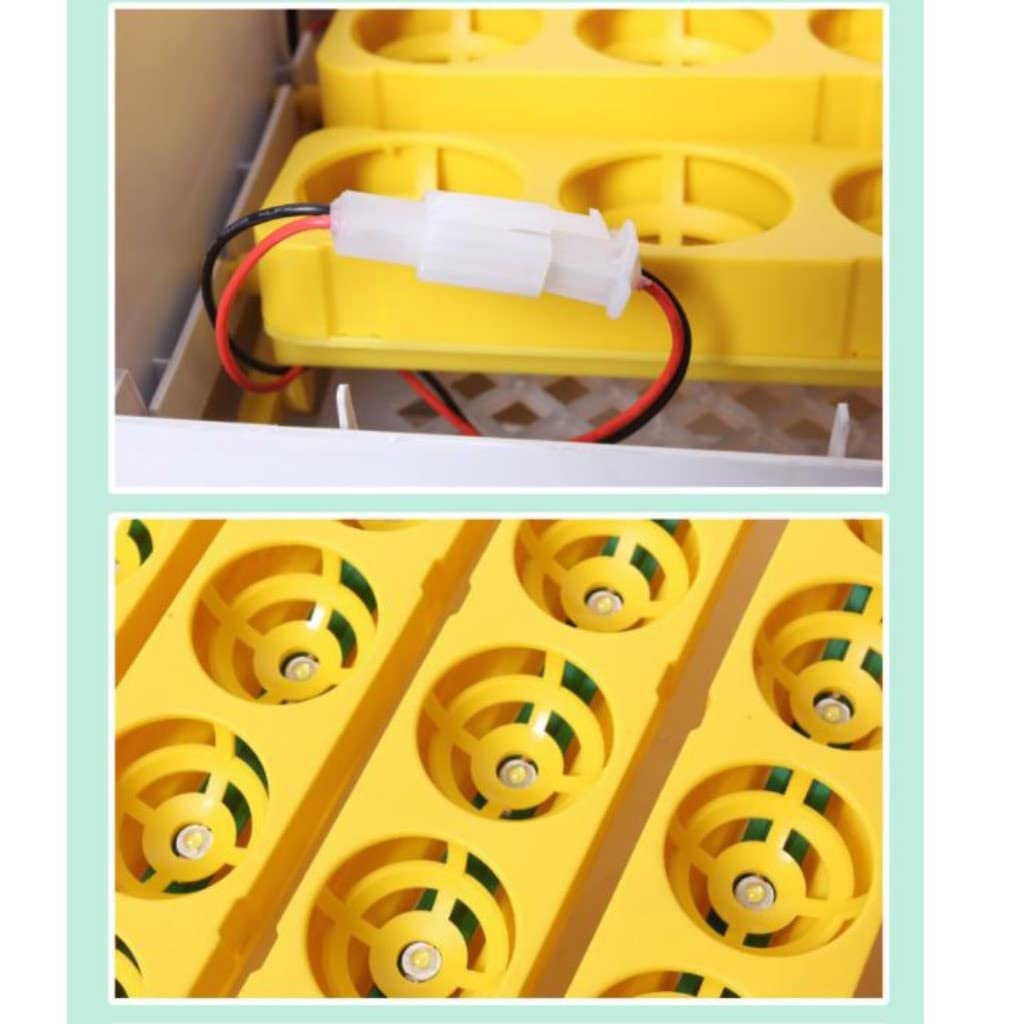 Grafken 56 Egg Chicken Incubator with Automatic Temperature Control & Egg Turner, Digital Humidity Display - Ideal for Hatching Chicken, Duck, Quail Eggs (Perfect for Small Farms, Backyard Poultry, and Egg Hatching Businesses)