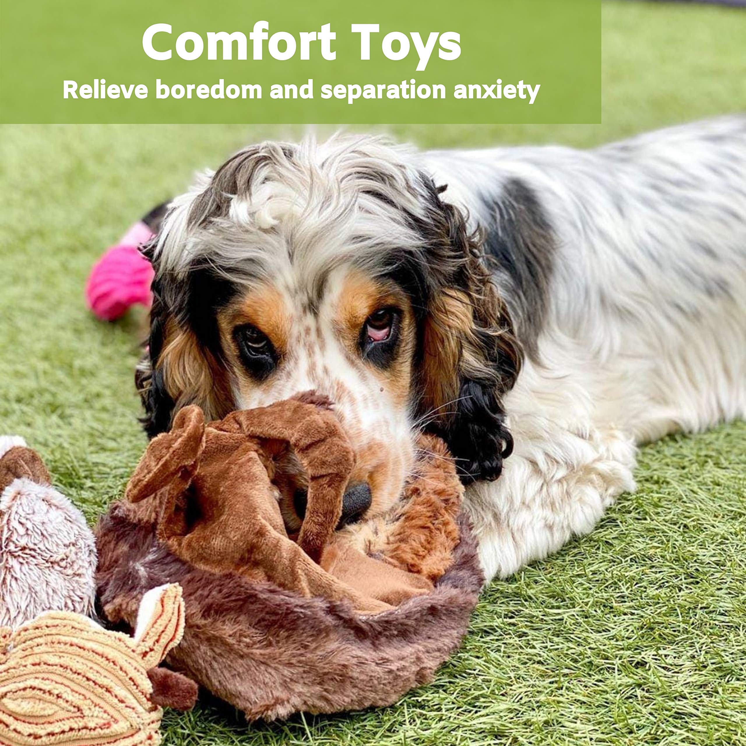 Nature’s Buddy Plush Dog Toys - 5 Pack Squeaky Chew Toys for Puppies & Small Dogs - Durable, Soft & Interactive No-Stuffing Bundle (3 Varieties) - Perfect for Playtime, Training & Cuddling