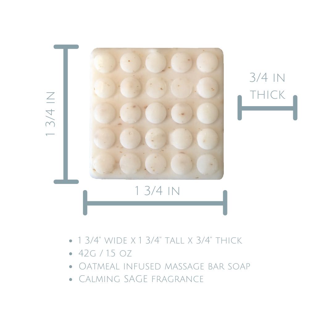 Lake Life ~ Natural Body Bar Soap 1.5oz (42g) - Handmade Organic Soap for Sensitive Skin, Moisturizing & Gentle Cleansing - Perfect for Camping, Travel & Everyday Use