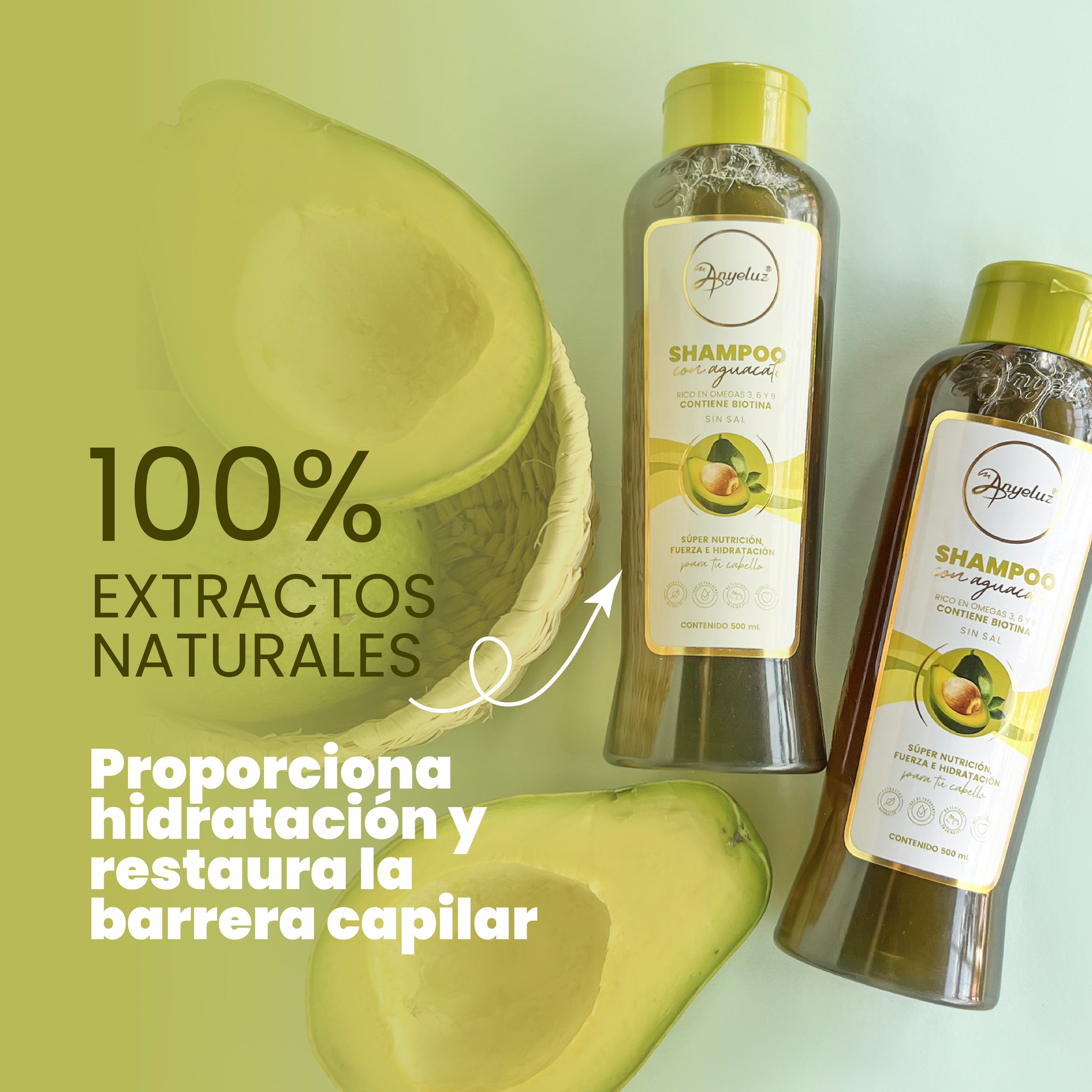 Anyeluz Avocado Shampoo for Dry & Damaged Hair - Natural Hair Care with Avocado Oil for Hydration & Repair | Perfect for Daily Use at Home or Salon
