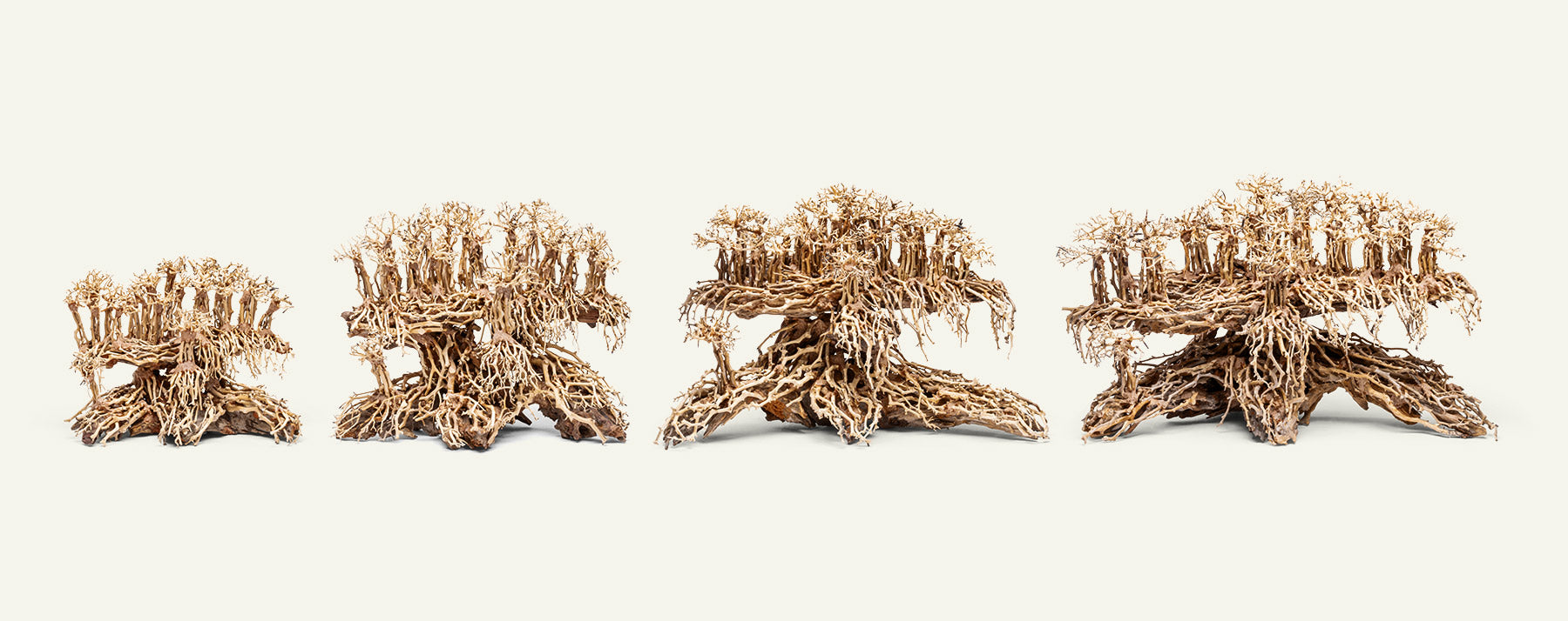 UNS Bonsai 017 - Premium Miniature Bonsai Tree for Home & Office Decor | Perfect Gift for Plant Lovers & Zen Garden Enthusiasts
