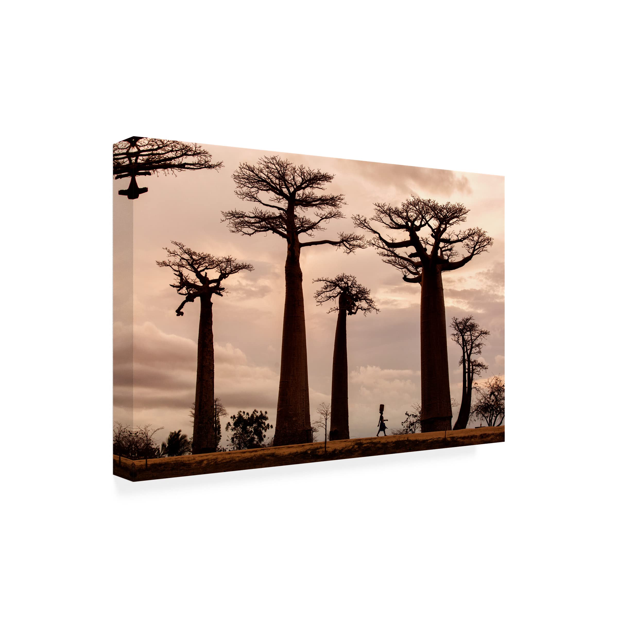 Trademark Fine Art 'Madagascar' Canvas Wall Art by Dan Mirica - Stunning Wildlife Painting for Living Room, Bedroom & Office Decor