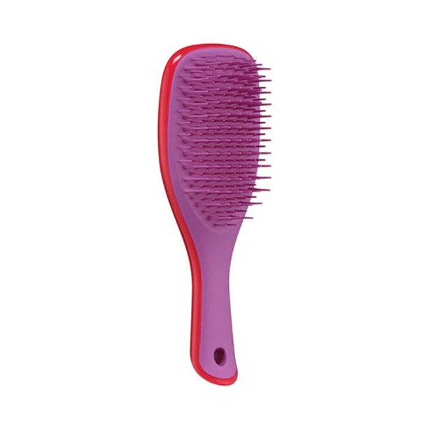Tangle Teezer Ultimate Detangler Mini Hair Brush - Compact Detangling Hairbrush for Wet & Dry Hair - Perfect for Travel, Kids, and On-the-Go Styling