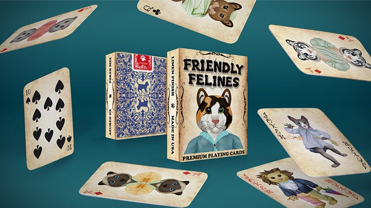 Premium Cat Toys for Indoor Cats - Interactive Play for Kittens & Adult Cats - Perfect for Playtime, Training & Bonding with Your Feline Friend