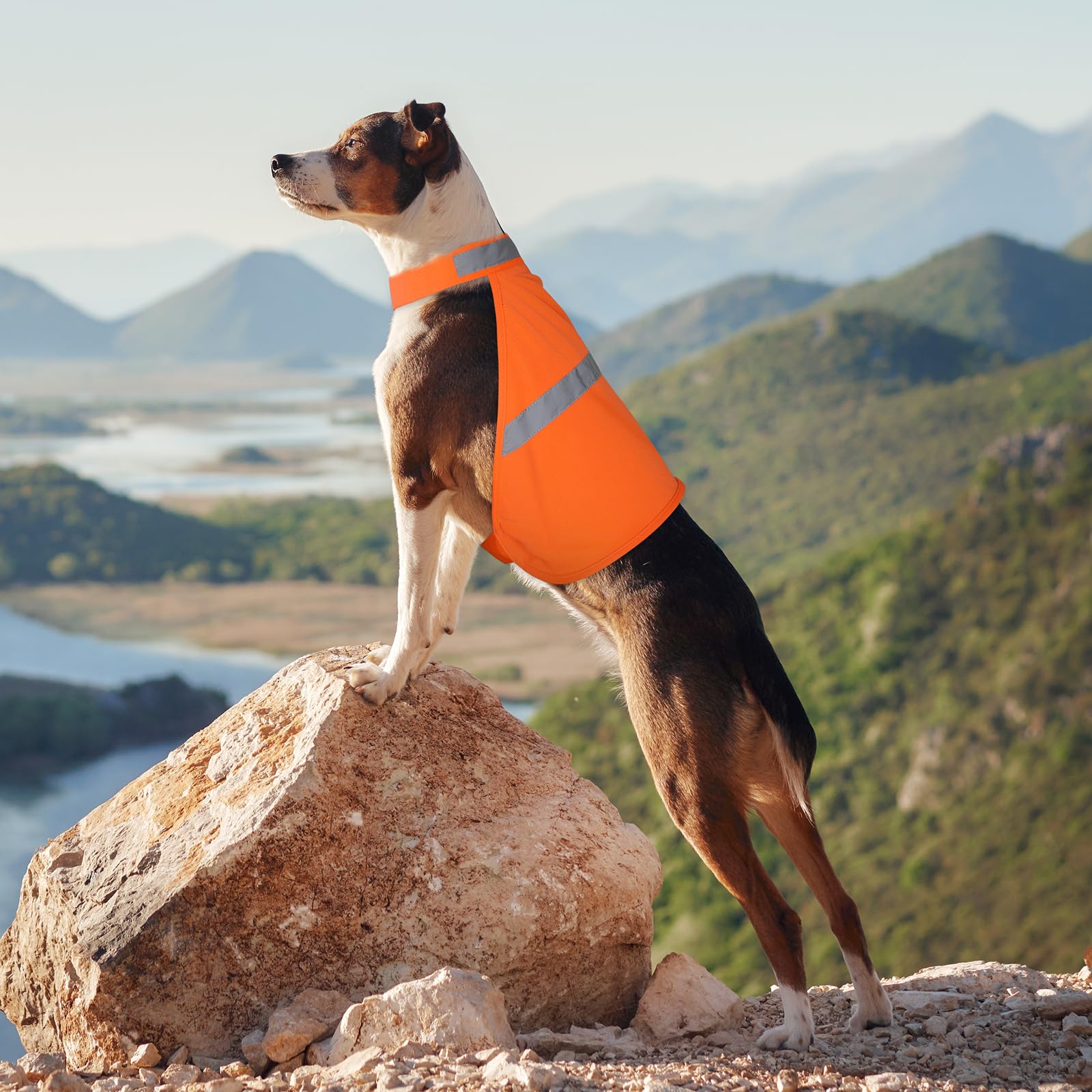 High Visibility Orange Reflective Dog Vest - Adjustable Soft Hunting Jacket for Small, Medium & Large Dogs - Perfect for Outdoor Adventures, Night Walks & Safety