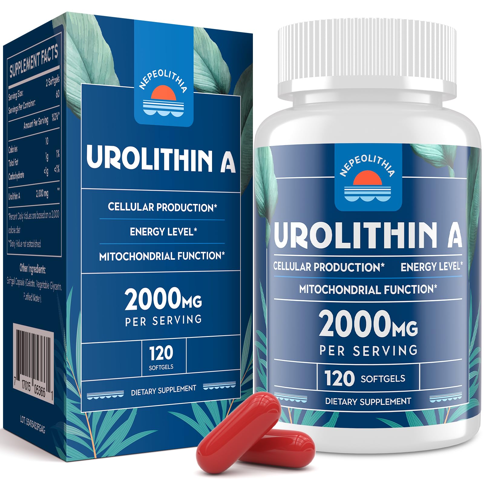 Urolithin A 2000mg Supplement - 120 Softgels | Gluten Free, Vegan & Non-GMO | Supports Cellular Health & Longevity | Perfect for Anti-Aging & Muscle Recovery