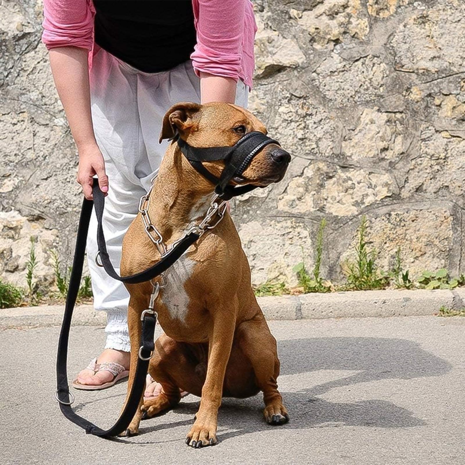 Adjustable Dog Muzzle for Small Medium Large Dogs - Anti Biting Barking Chewing Pet Training Tool - Breathable Comfortable Secure Fit (Size S/Red) - Perfect for Grooming, Vet Visits & Walks