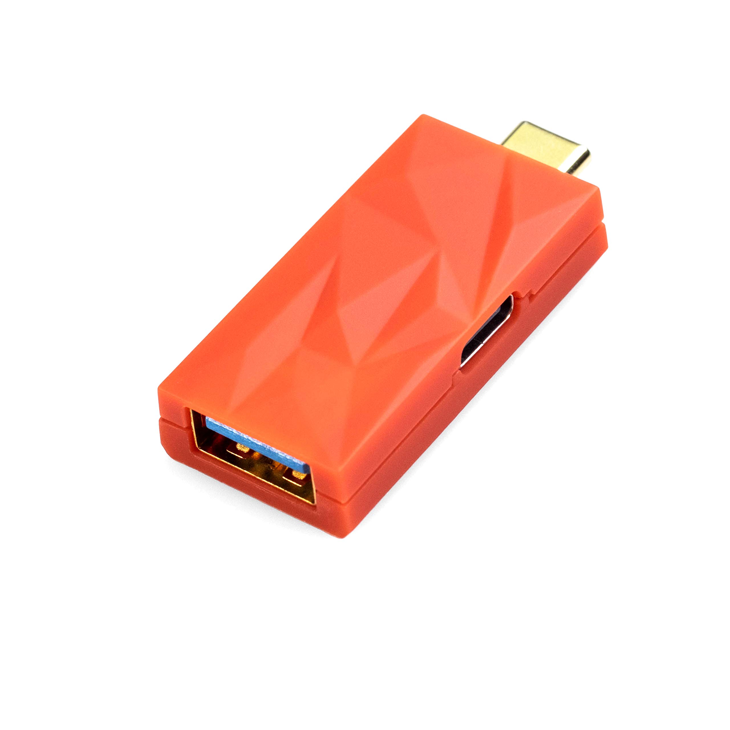 iFi iDefender+ USB Audio Ground Loop Noise Eliminator for HiFi Systems - Type C to A Adapter - Perfect for Home Studios, DJ Setups & Audiophile Equipment