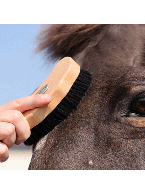 Premium Wooden Face Brush for Exfoliating & Cleansing - Natural Bristle Facial Brush for Glowing Skin - Perfect for Daily Skincare & Spa Routine