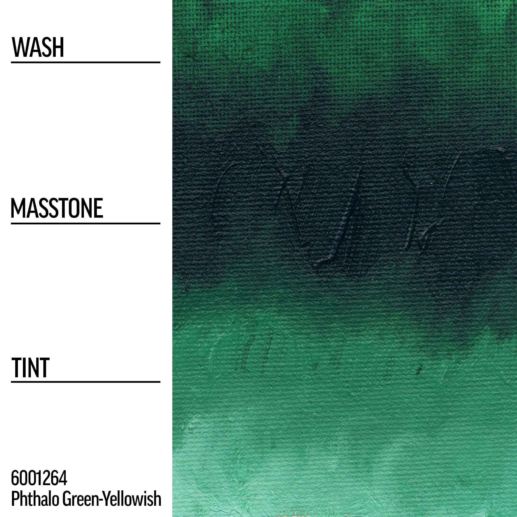 GOLDEN Williamsburg Artist Oil Colors - Phthalo Green-Yellowish (37ml Tube) | Professional Transparent Oil Paint for Canvas Painting & Fine Art