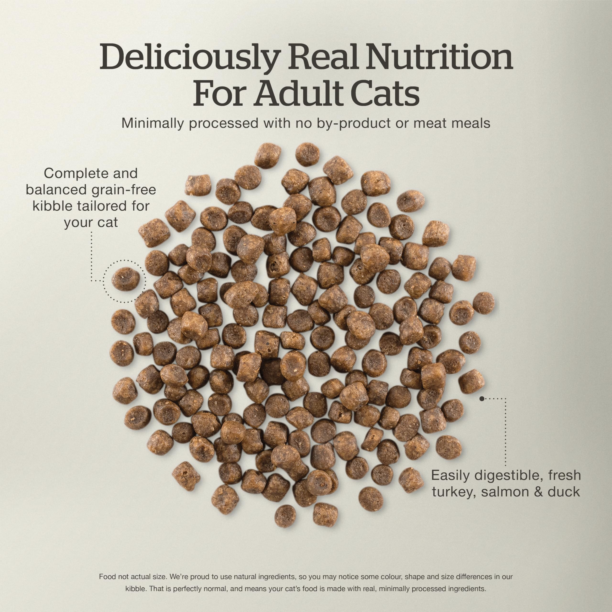 Now Fresh Grain Free Dry Cat Food - Turkey, Salmon & Duck Recipe with Real Meat & Fish - 16lb & 3lb Value Bundle for Adult Cats - Perfect for Indoor & Outdoor Felines