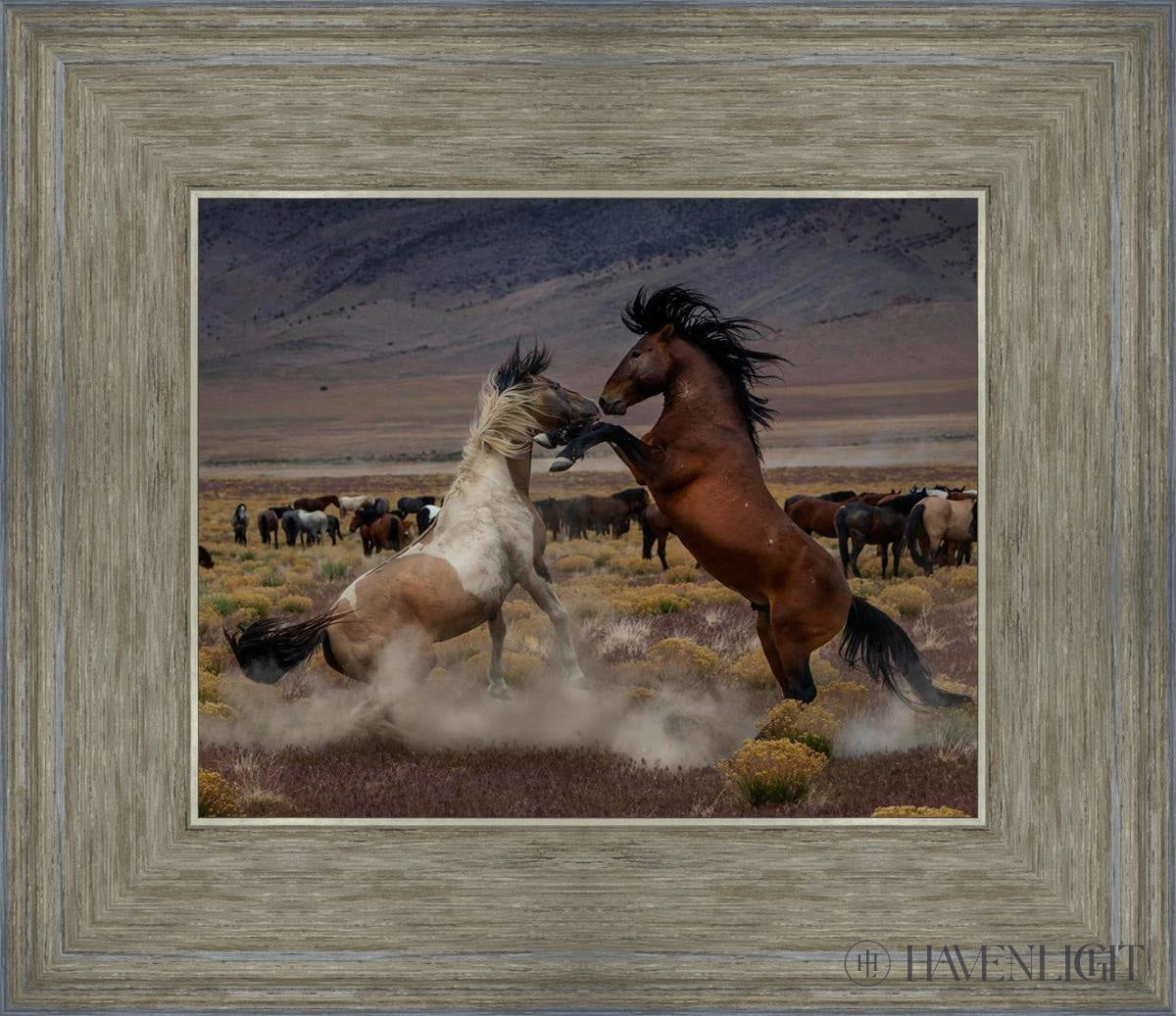 Desert Duel 5 by Greg Sargent - Western Action Novel - Perfect for Book Clubs & Cowboy Adventure Fans