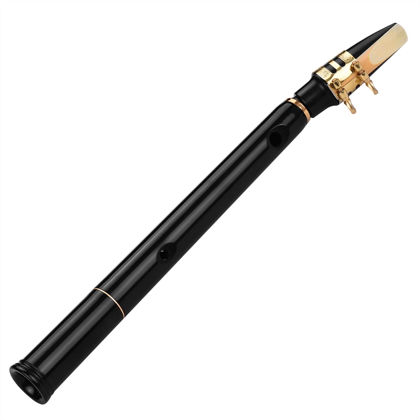 Professional ABS Mini Pocket Saxophone - C Key Woodwind Instrument with 10 Reeds, Mouthpiece & Carrying Bag | Portable Sax for Travel, Practice & Street Performance