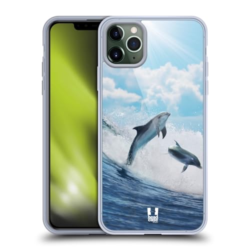 Happy Surfing Dolphins