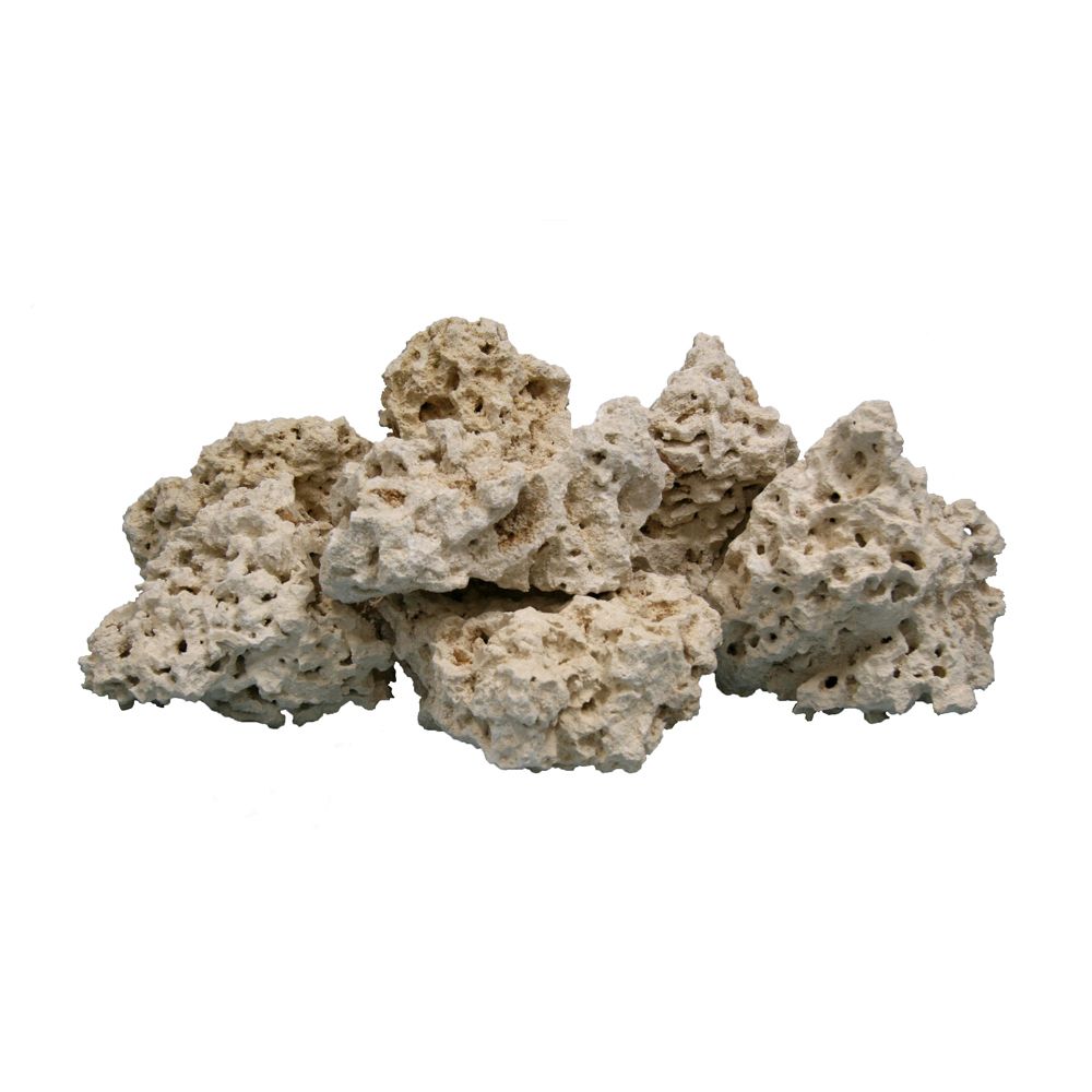 Premium Aquarium Reef Rock (Base Rock) - 40lb Box for Saltwater Fish Tanks, Coral Propagation & Marine Aquascaping - Natural Live Rock Alternative for Reef Tanks & Aquatic Decor