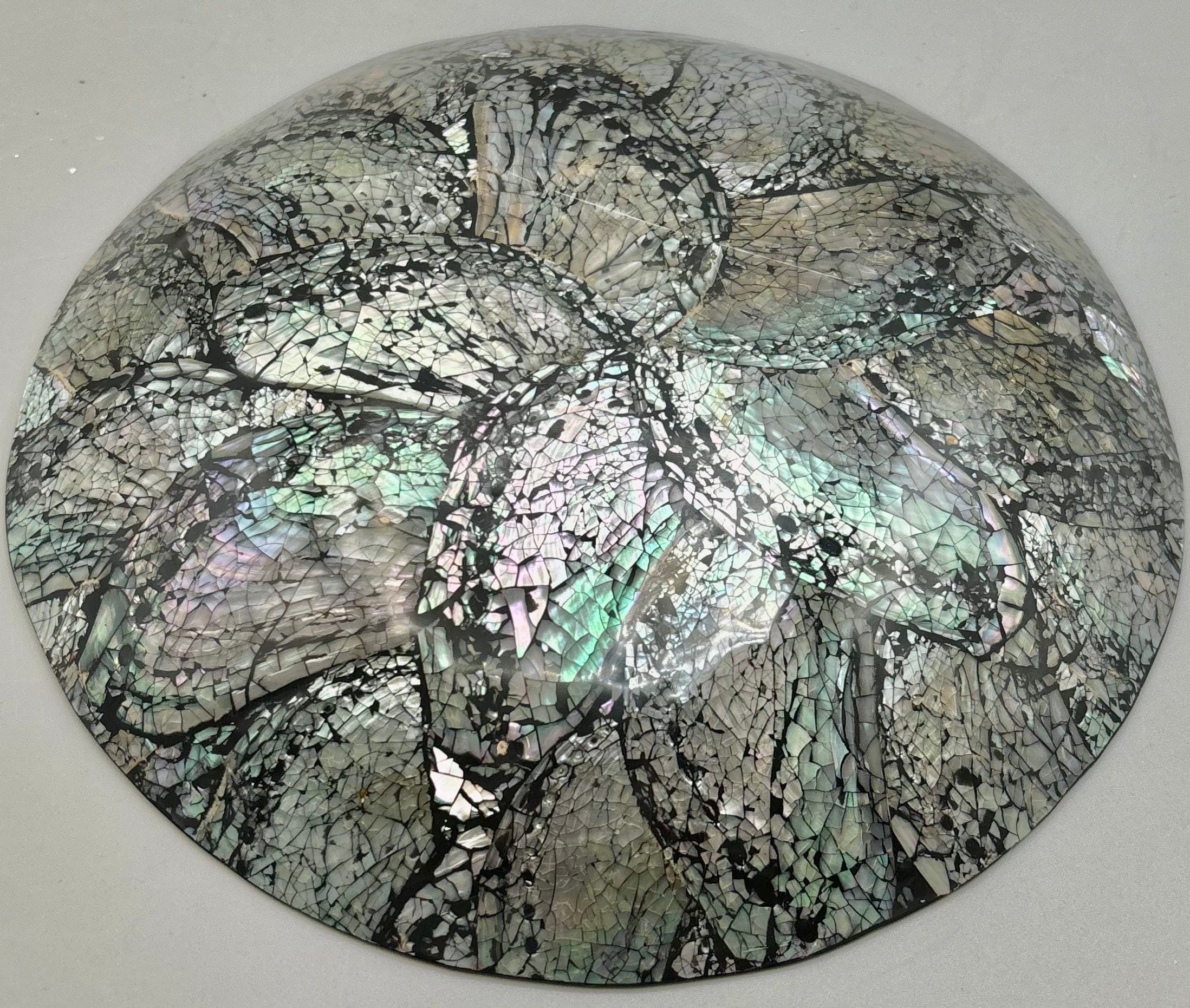 Premium Australian Abalone Shell Plate - Medium Size for Serving Sushi, Seafood & Appetizers | Eco-Friendly Natural Shell Dish for Restaurants, Parties & Home Decor