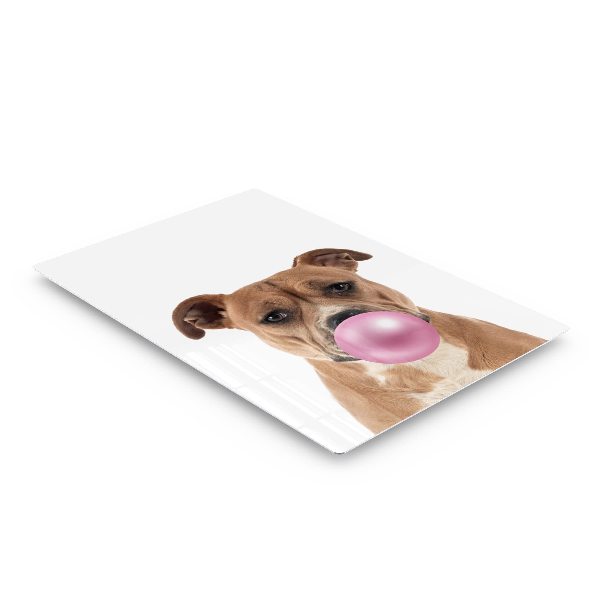 Staffordshire Bull Terrier Chewing Pink Bubble Gum Metal Wall Art Print - 36x24 - Pet Lover Gift, Dog Pop Art Decor for Office, Living Room, Bedroom, Nursery & Kids Room - Unique Animal Themed Home Decor for Dog Owners & Animal Enthusiasts