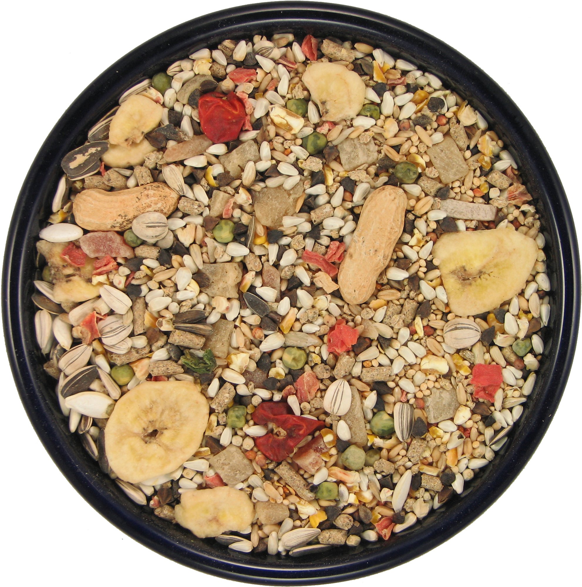 Premium Garden Conure Parrot Food - 40 lbs Bag | Nutrient-Rich Blend for Healthy Feathers & Energy | Perfect for Daily Feeding & Training Rewards